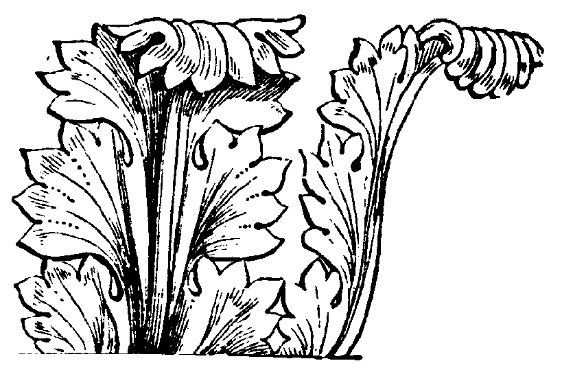 Akant - liść w ornamencie